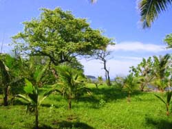 vue maison et playa lagarto costa rica